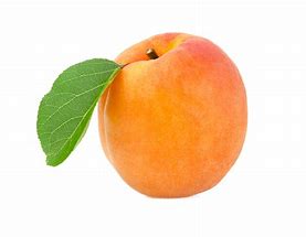 Image result for Apricot Transparent