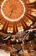 Image result for Islands of Adventure Jurassic Park Discovery Center