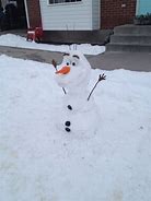 Image result for Olaf Snowman Real