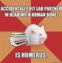 Image result for Funny Mouse Memes