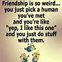 Image result for Funny Minion Licture