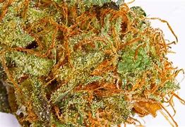 Image result for Funny Weed Names