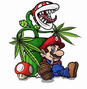 Image result for Pot Smokers Cartoons