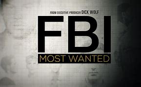 Image result for TV Show FBI Most Wanted Season 1