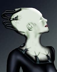 Image result for Star Trek Women Raiped by the Borg Fan Fiction