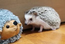 Image result for A Toy Is Never Truly Loved