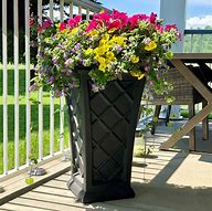 Image result for Tall Planter Plants
