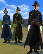 Image result for Sims 4 Wizard Robe