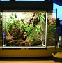 Image result for Lights for Scorpion Cage