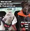 Image result for Funny Thought for the Day Animal