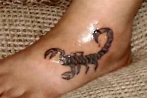 Image result for Scorpion Feet