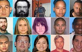 Image result for Washington State Most Wanted