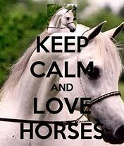 Image result for Keep Calm and Love Horses