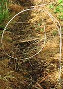 Image result for Types of Snares
