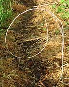 Image result for Animal Traps and Snares