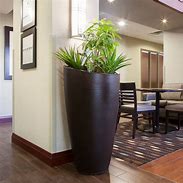 Image result for Tall Planters for Indoor Plants