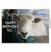 Image result for Happy Birthday Black Sheep