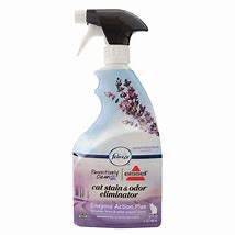 Image result for Bissell Stain and Odor Eliminator