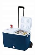 Image result for Rubbermaid Ice Chest