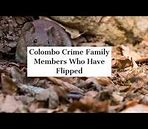 Image result for Colombo Crime Family Members
