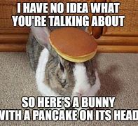 Image result for Bunny Pancake Meme
