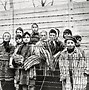 Image result for K Z Auschwitz