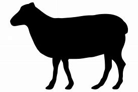 Image result for Black Sheep Silhouette