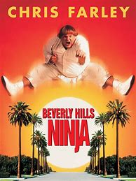 Image result for Beverly Hills Ninja Chris Rock Tree