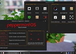 Image result for 64-Bit Peppermint OS