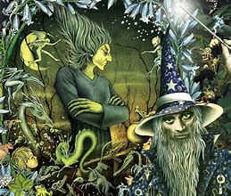 Image result for Witch and Wizard