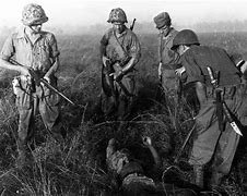 Image result for Indonesian War