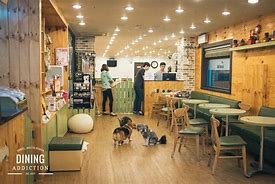 Image result for Dog Friendly Coffee Shop