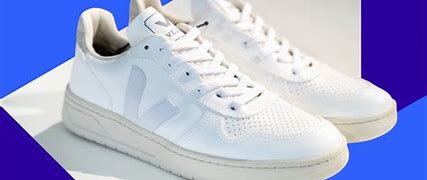 Image result for Veja Sneakersowners