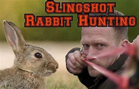Image result for Rabbit Sling Snare
