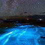 Image result for Jervis Bay Bioluminescence