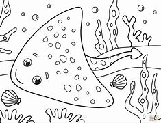 Image result for Stingray Coloring Page