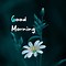 Image result for Keep Calm and Say Good Morning