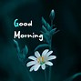 Image result for Cute Good Morning Pics