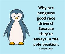 Image result for Penguin Jokes Riddles