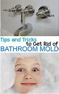 Image result for How to Get Rid of Bathroom Mold