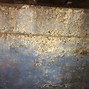 Image result for DIY Mold Removal in Basement