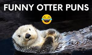 Image result for Otter Pun Memes