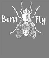 Image result for Born Fly Eagle Hoodie