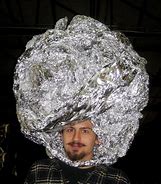 Image result for Tin Foil Hat Guy