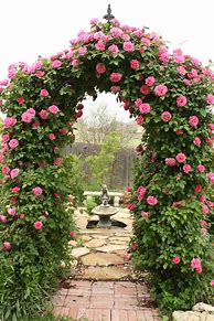 Image result for Beautiful Rose Garden Arbor