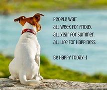 Image result for Happy Thoughts for the Day Dogs