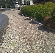 Image result for Lake Retaining Wall