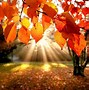 Image result for 3D Fall Wallpaper for Kindle Fire