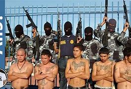 Image result for Most Dangerous Gangs in Florida