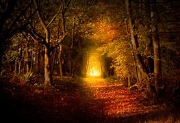Image result for free picture of light on a dark path